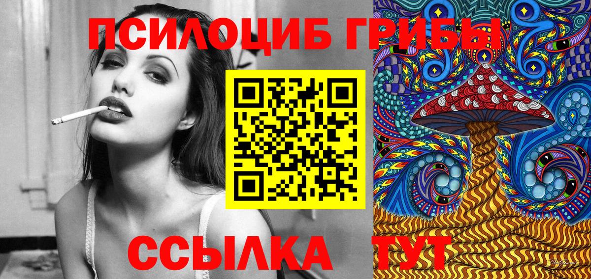 дарнет шоп  Псилоцибиновые грибы ЛСД  Вход с VPN  Кашира  Галлюциногенные грибы Magic Shrooms 